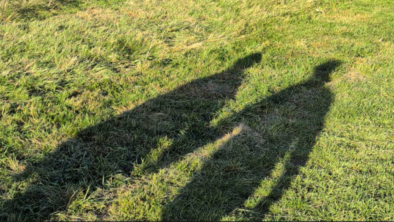 CRONY Movie Screenshot 2